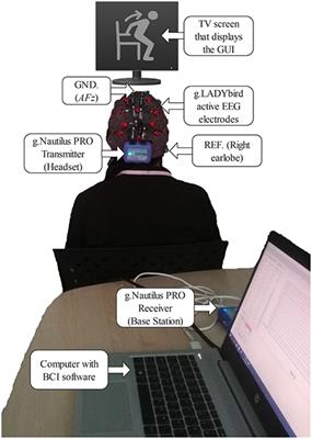 Decoding EEG rhythms offline and online during motor imagery for standing and sitting based on a brain-computer interface